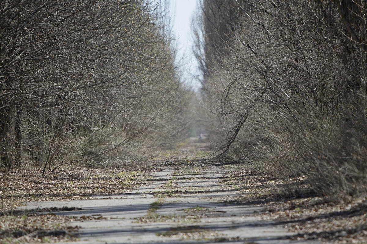 Tan tich 30 nam cua tham hoa hat nhan Chernobyl-Hinh-2